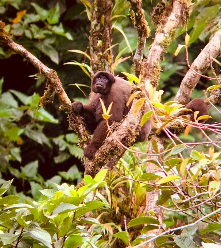 Parque Nacional Del Manu-玛努国家公园必去景点
