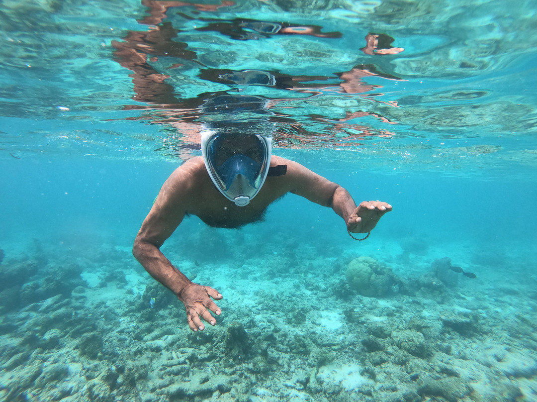 Beach Heaven Maldives - Golden Turtle Guest House主图