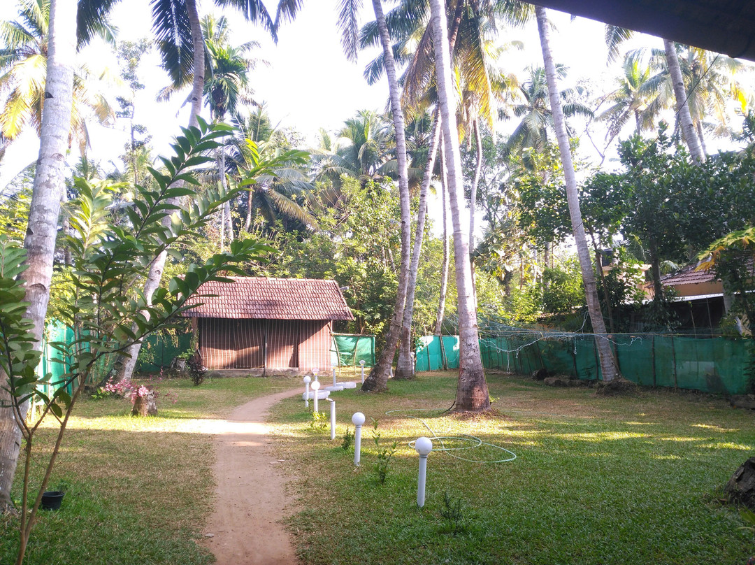 Munroe Paradise主图