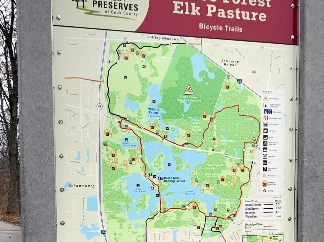Busse Forest Elk Pasture-埃尔克格罗夫村必去景点