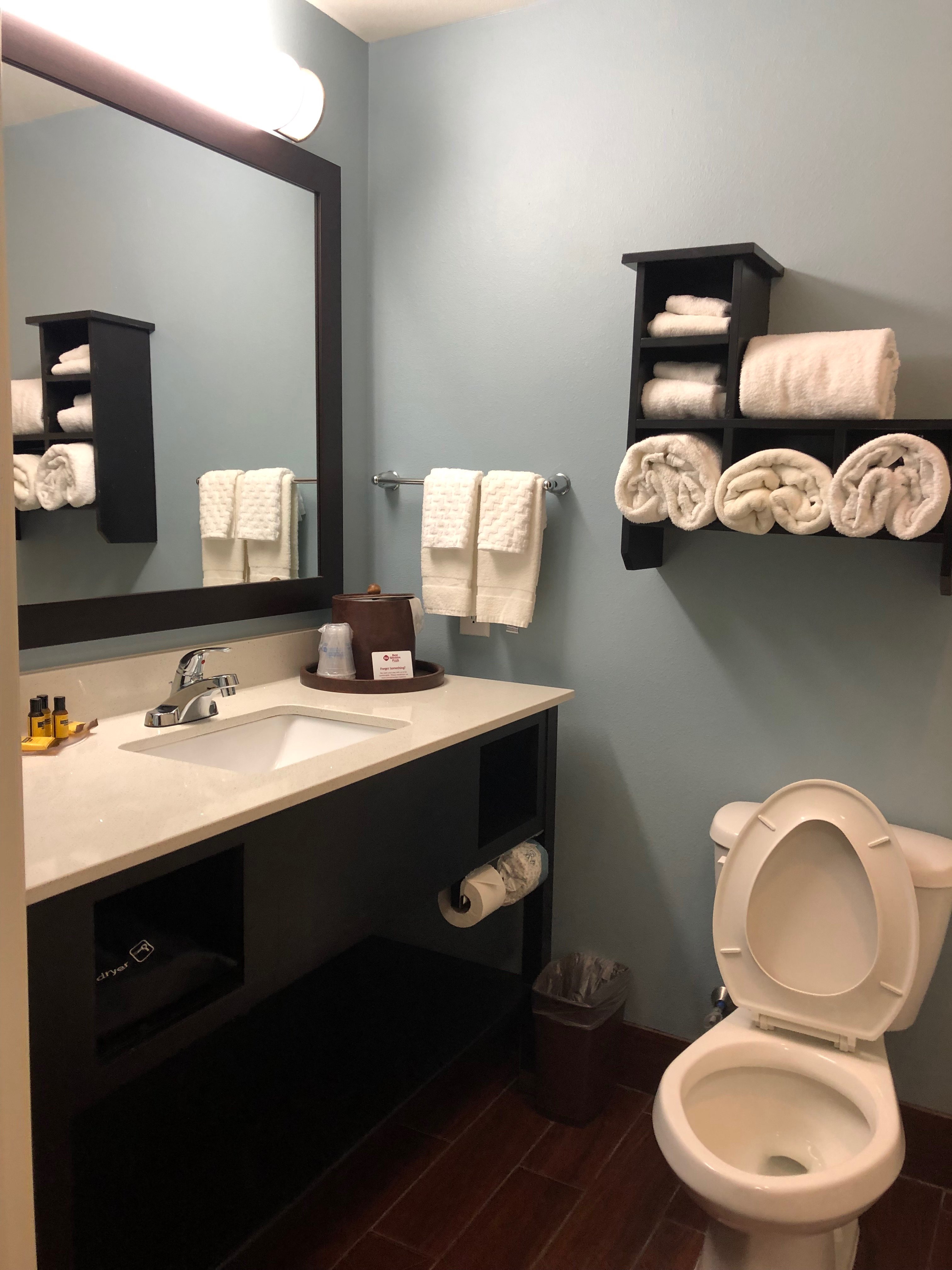 La Quinta Inn & Suites by Wyndham Odessa N. - Sienna Tower-浴室