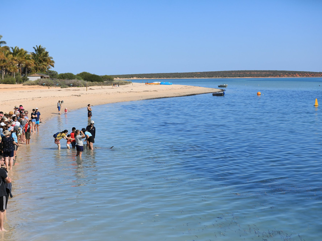 猴子美亚海滩度假村主图