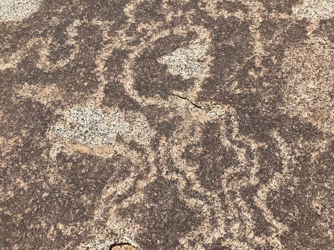 Petroglifos De Tilama景点图片