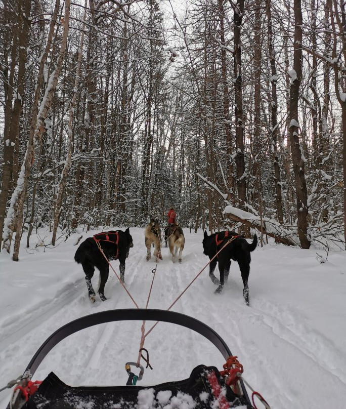 Kinadapt-Rawdon必去景点