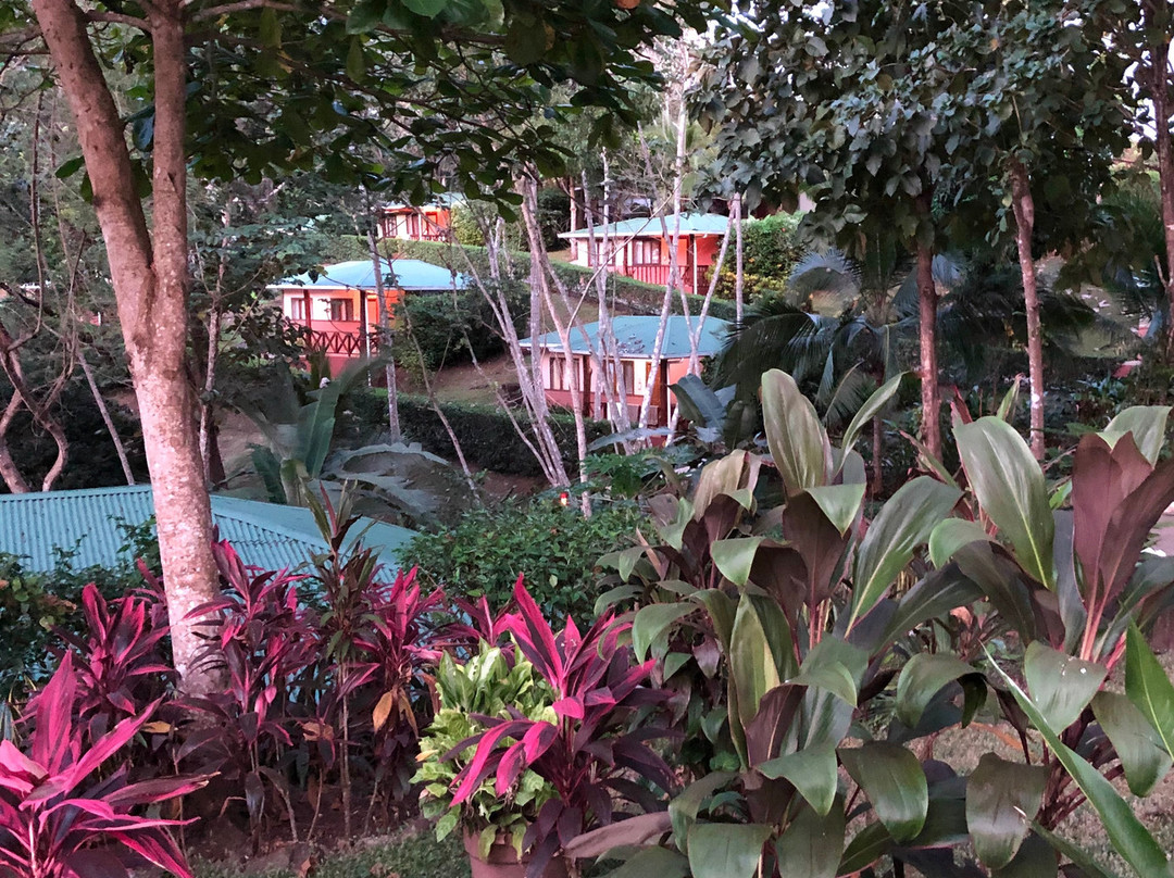 Hotel Cerro Lodge主图