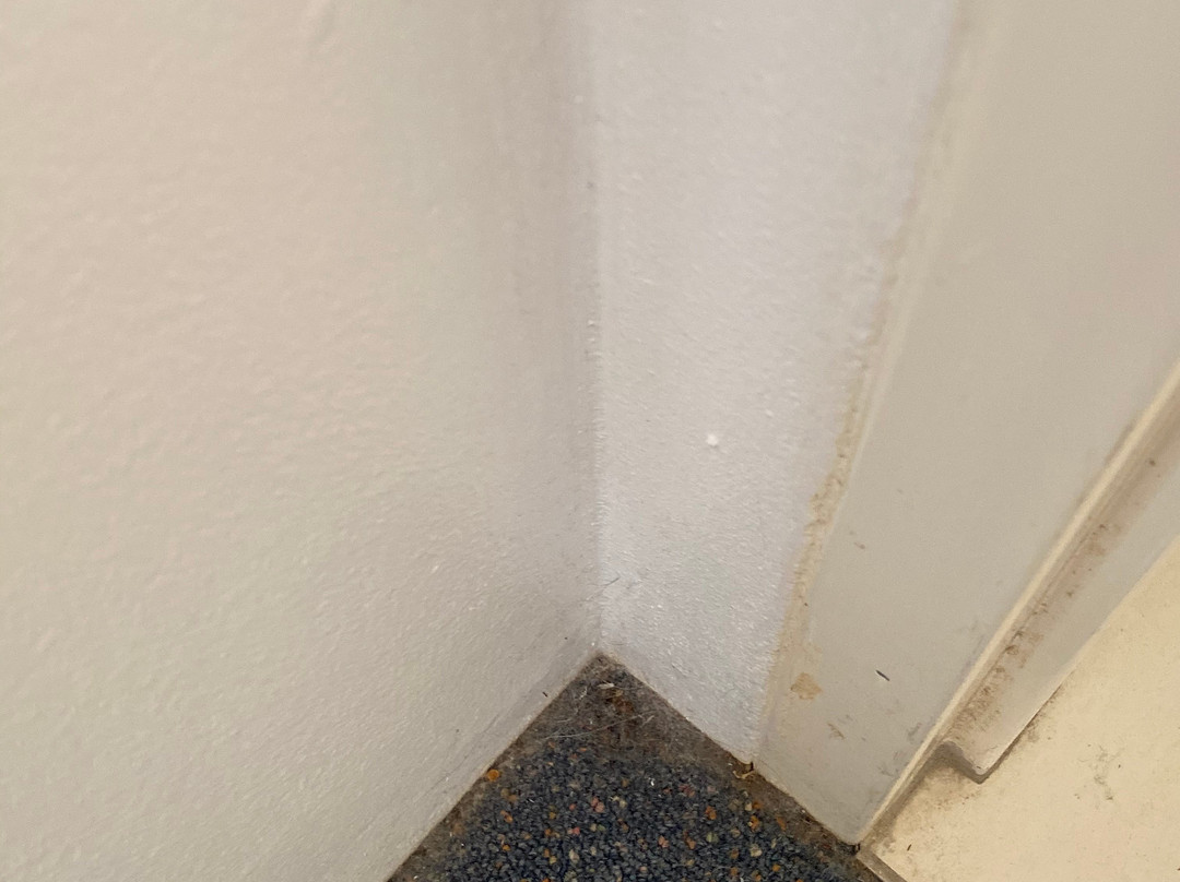 圣托里尼海滨酒店主图