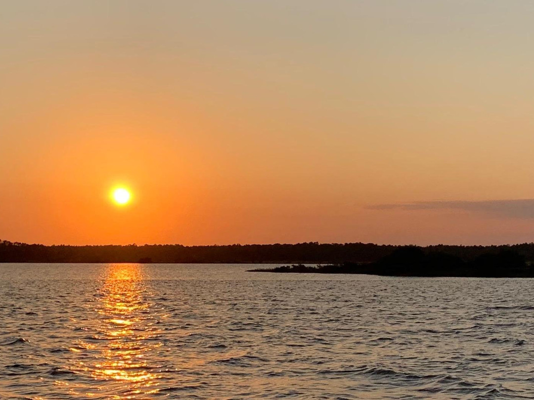 Niteline Charters-棕榈海岸必去景点