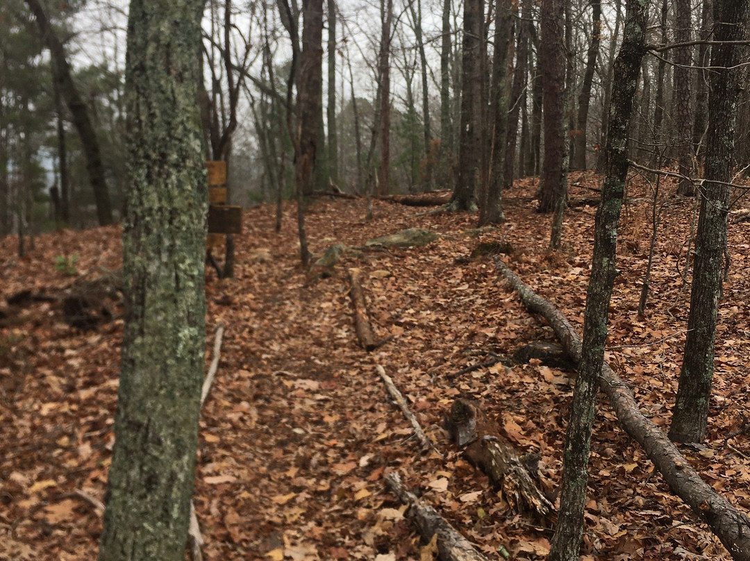 Pine Mountain Trail-Pine Mountain必去景点