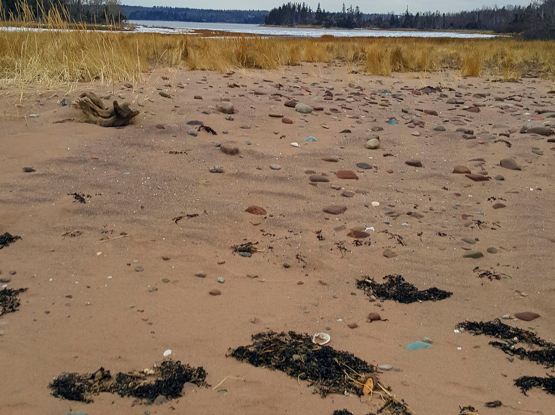 Caribou/Munroes Island Provincial Park-Pictou必去景点