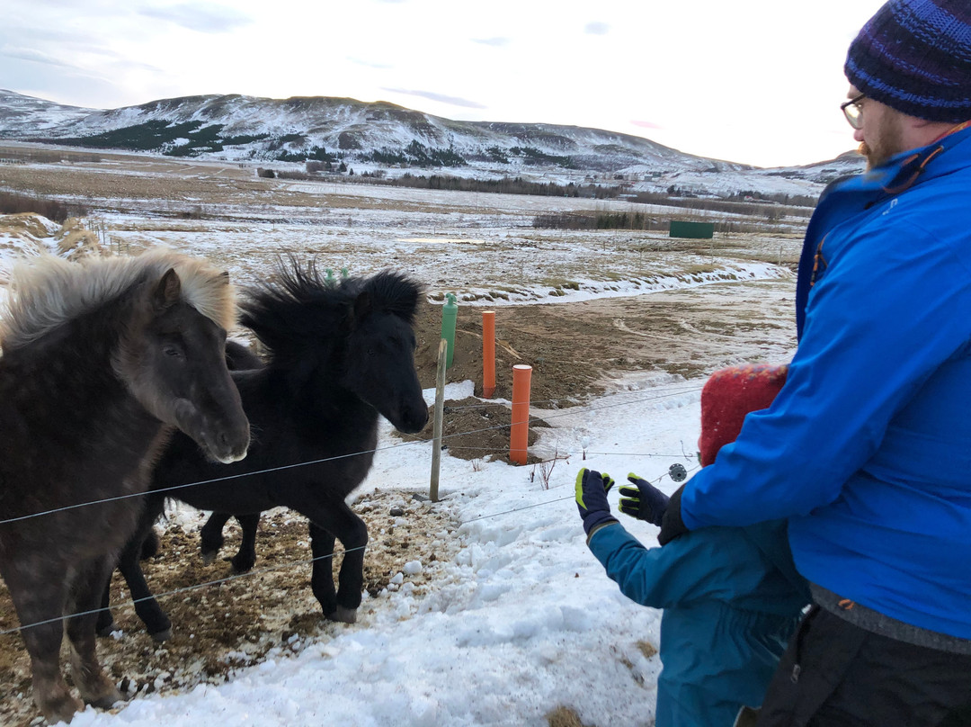 Minna-Mosfell Guesthouse主图