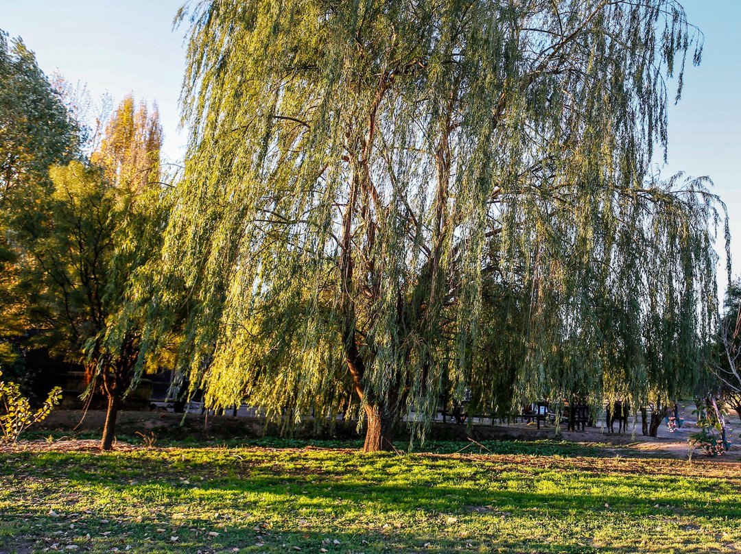 Huella Tinta景点图片
