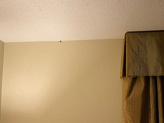 Gahanna酒店住宿-Holiday Inn Express & Suites Columbus Airport by IHG