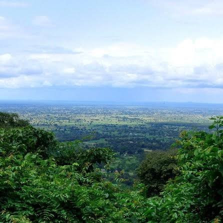 Udzungwa Mountains National Park旅游攻略图片
