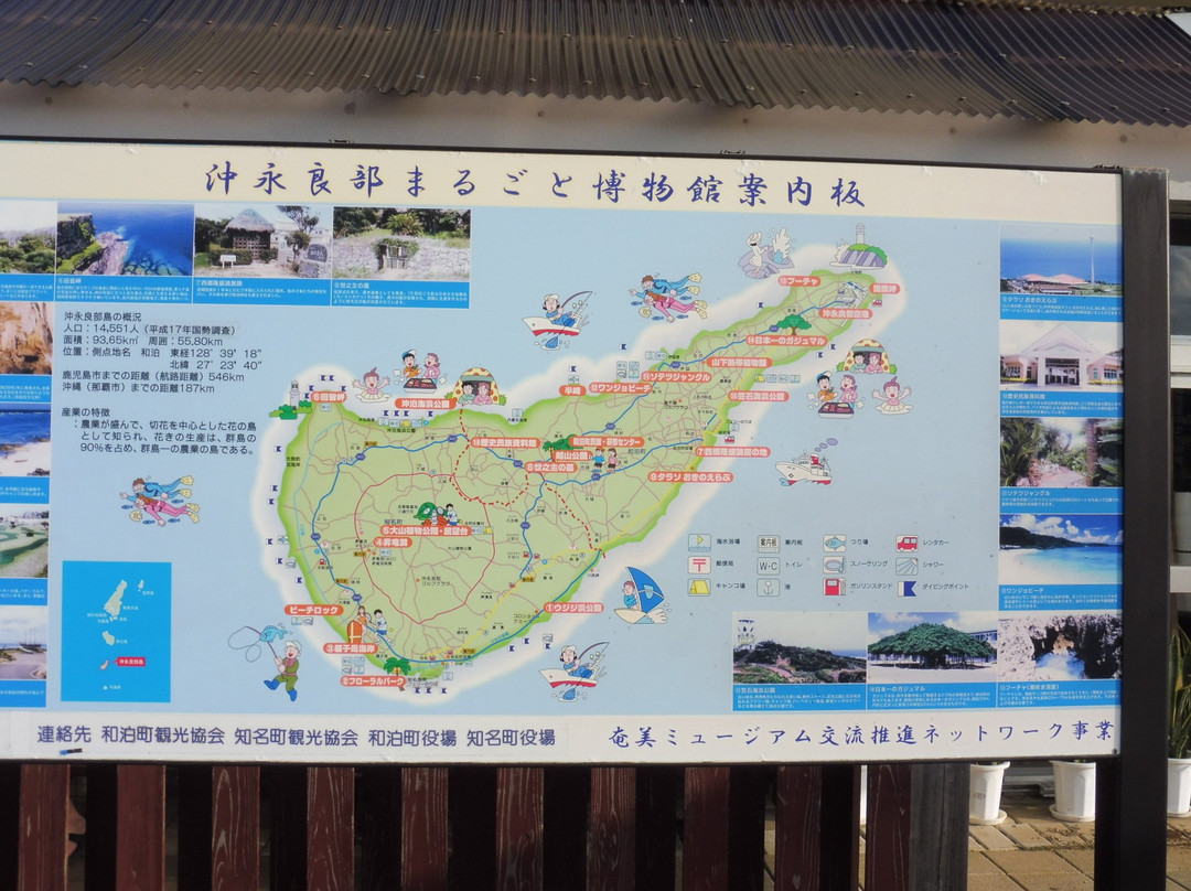 Okinoerabu Island-冲永良部岛必去景点