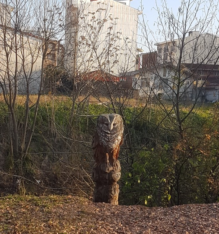 Mohtasham Garden景点图片