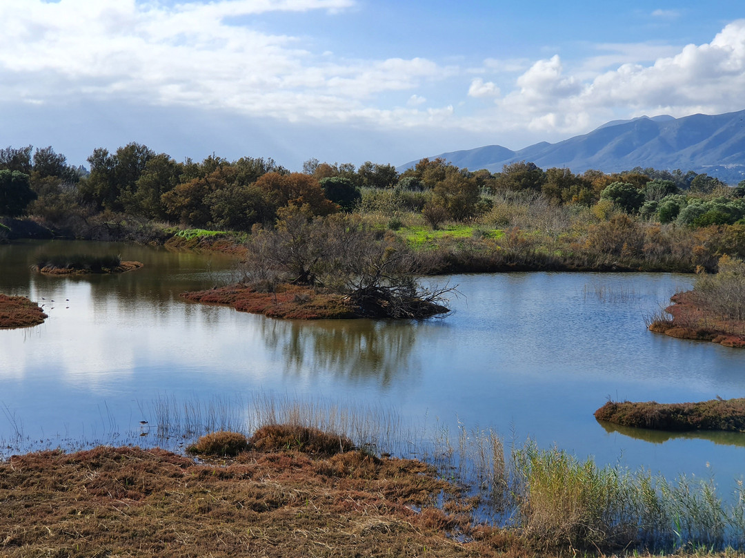 Parque del Guadalhorce景点图片