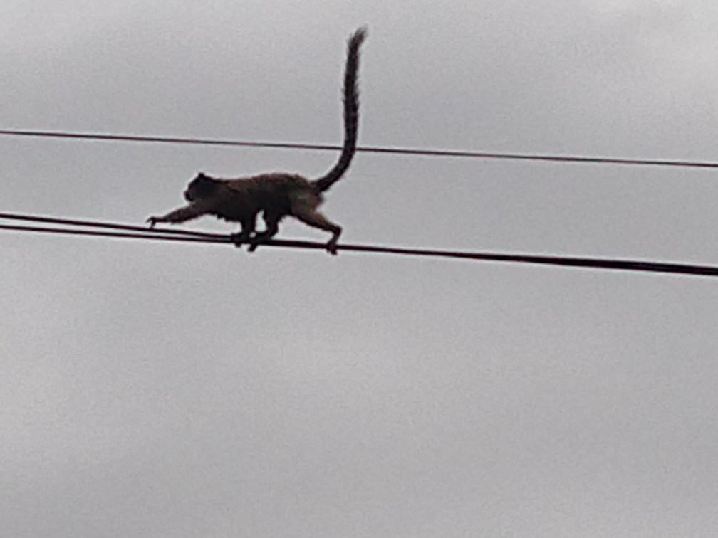Cachoeira do Sossego-雷恩克斯必去景点