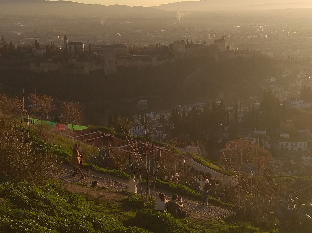 TUK TUK RUTAS GRANADA-格拉纳达必去景点