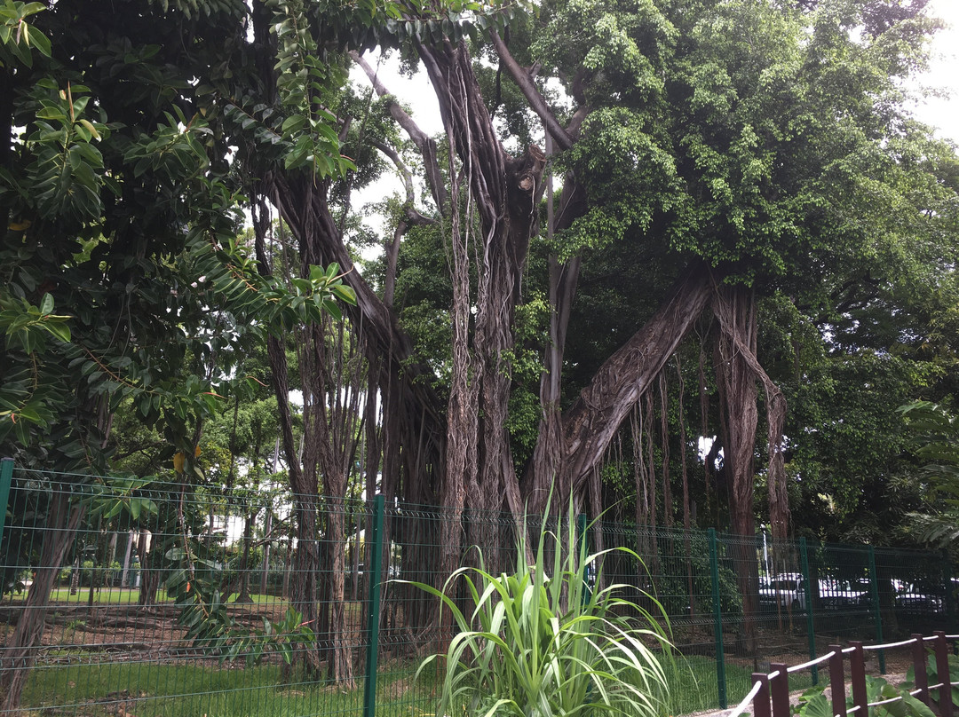 Assemblee De La Polynesie Francaise景点图片