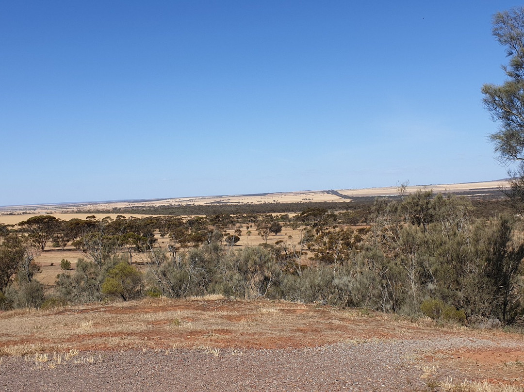 Whites Knob Lookout景点图片