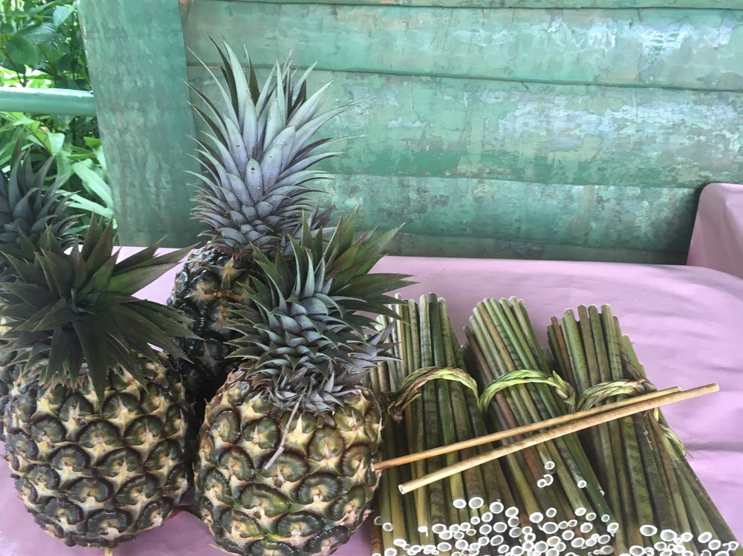 Finca Excelencia-Soroa必去景点