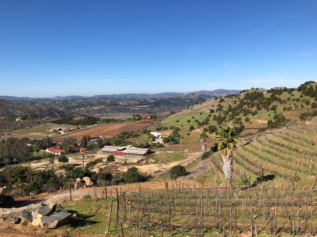 Cordiano Winery景点图片