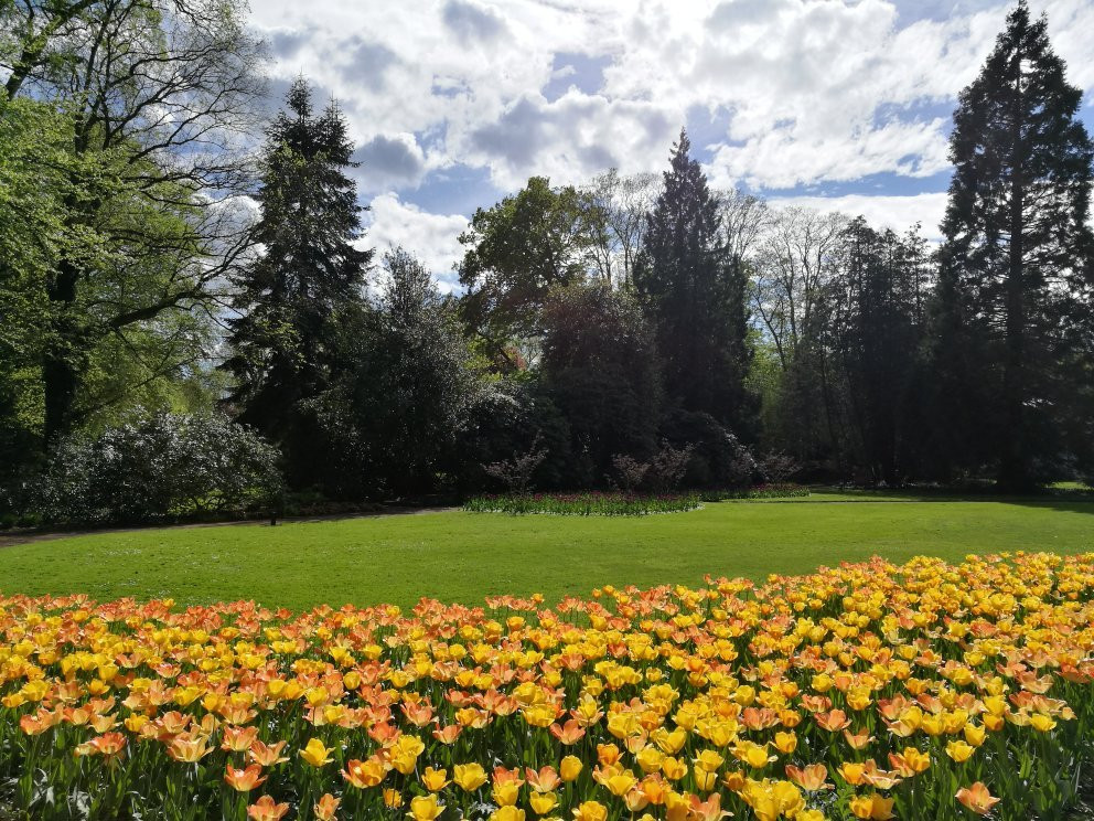 Oldenburger Schlossgarten景点图片