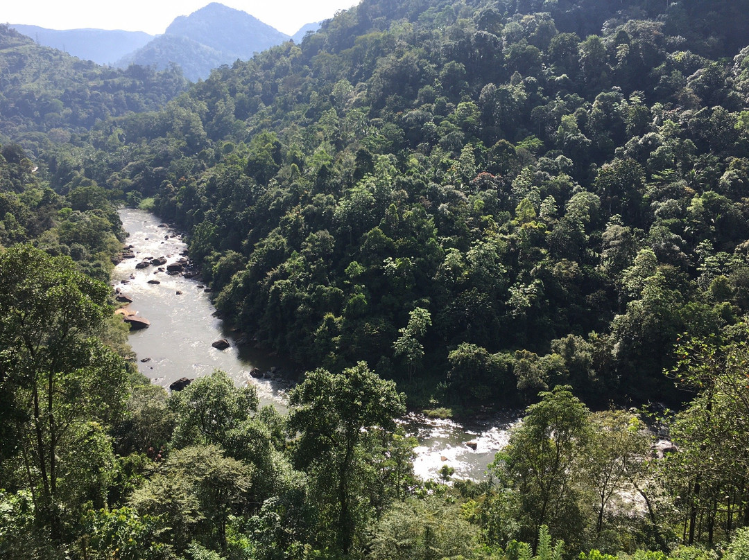 Mountriver Hotel主图