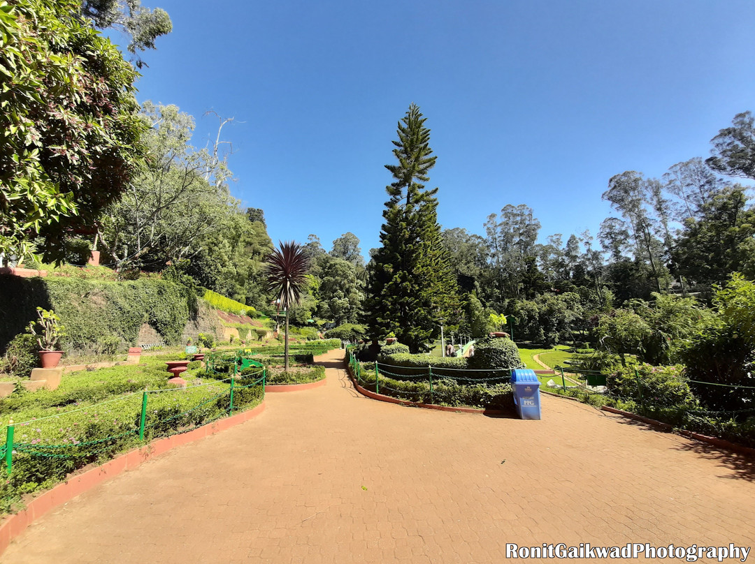 Government Botanical Garden景点图片