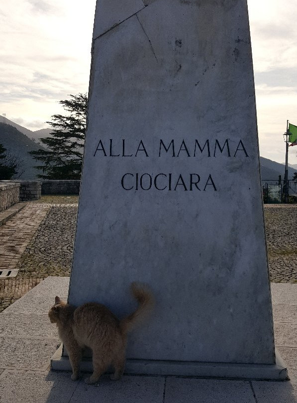 Monumento alla Mamma Ciociara景点图片