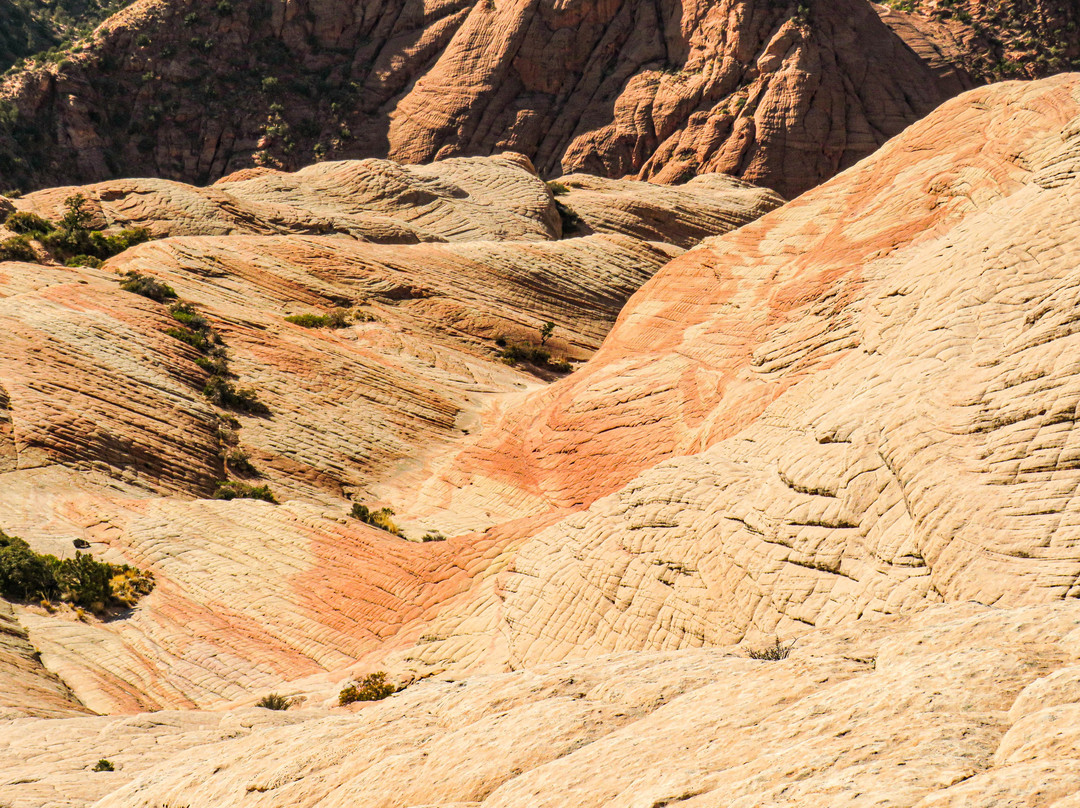 Yant Flat-Leeds必去景点