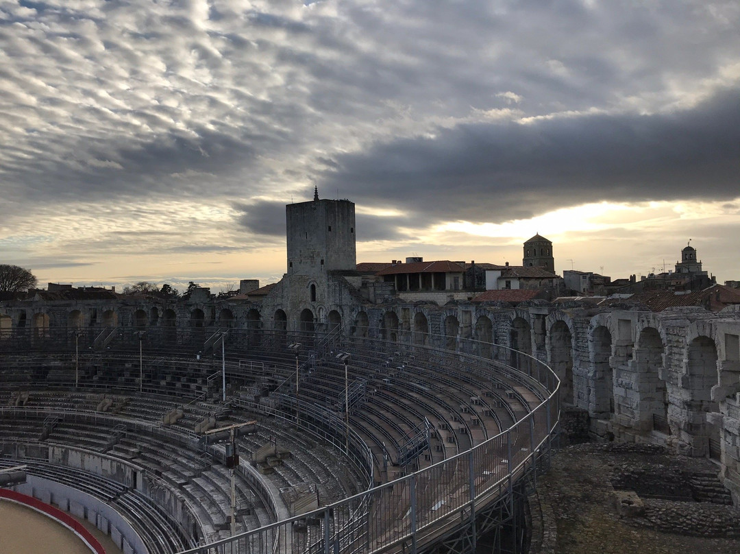 Office du Tourisme Arles Camargue-阿尔勒必去景点