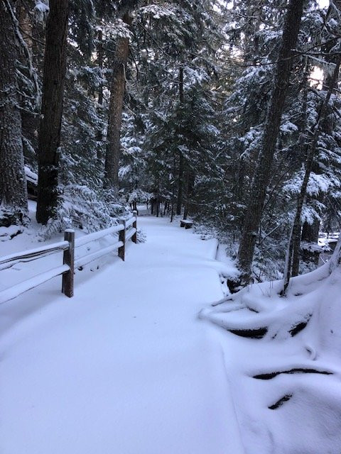 Trail of the Cedars-冰河国家公园必去景点