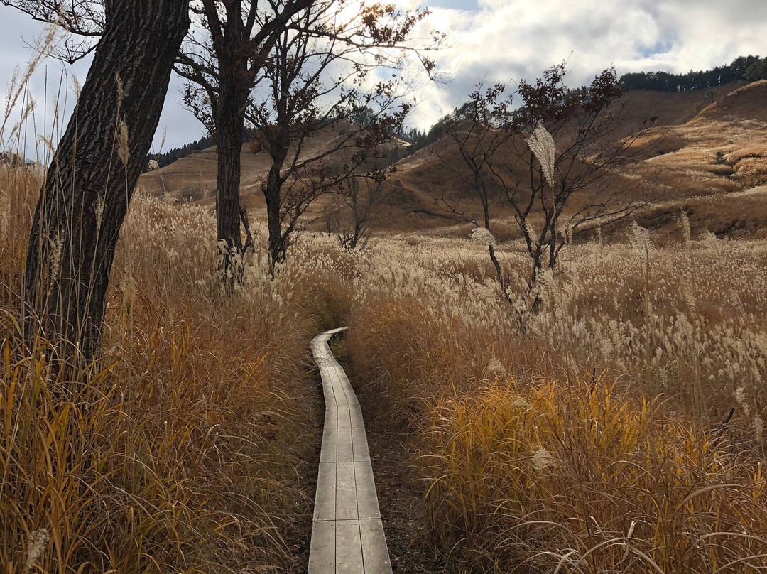 Toniomine Plateau-神河町必去景点