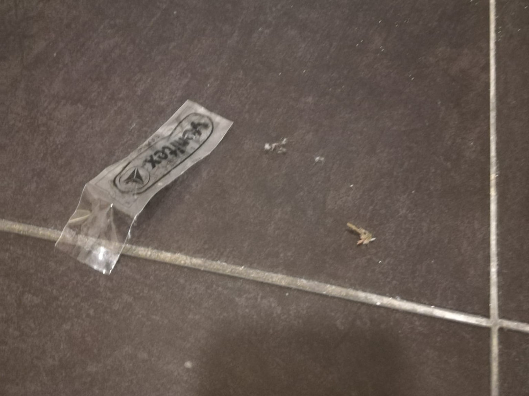 塞维利亚圣维森特 2 号旅馆主图