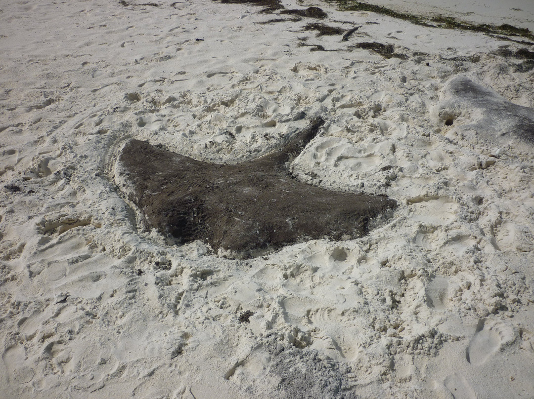 Mala Boutique Inn主图