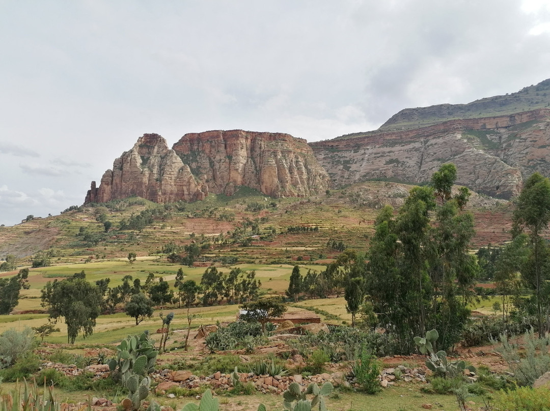 Lucy Ethiopia Tours景点图片