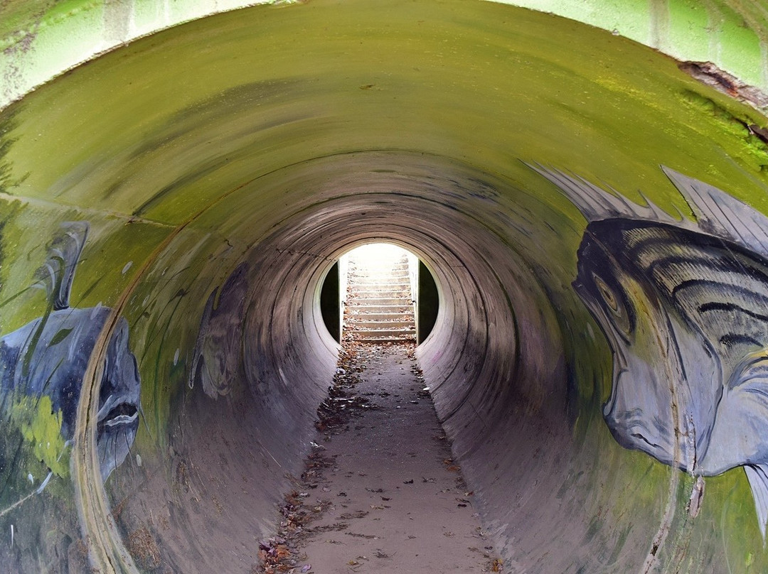 Roanoke Canal Museum and Trail景点图片