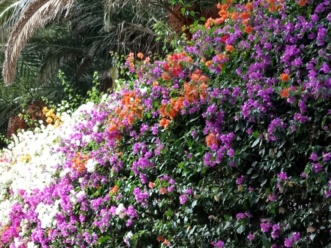 Parroquia de Nuestra Senora Del Carmen-布兰卡滩必去景点