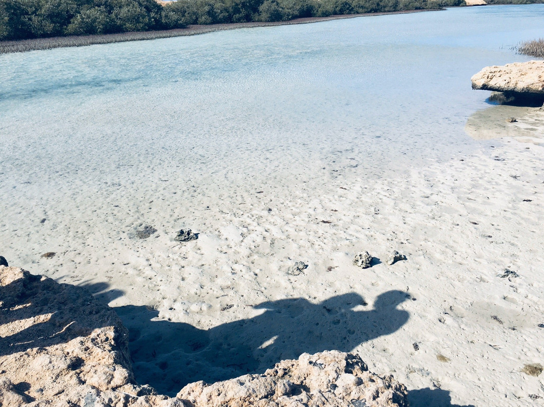 Mangrove Beach-Ras Mohammed必去景点