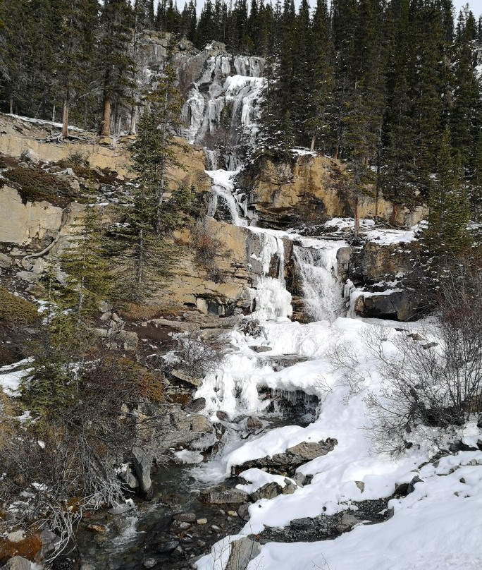 Tangle Creek Falls景点图片
