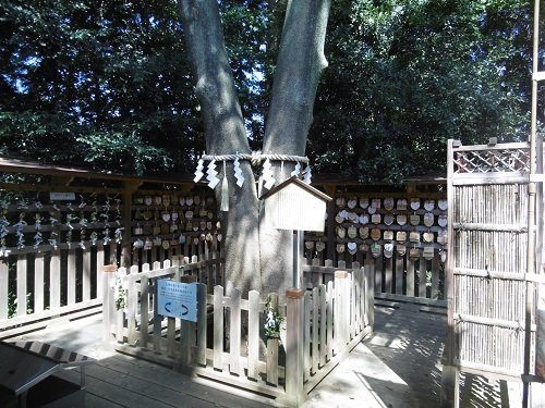 Kotozaki Hachimangu Shrine-宇部市必去景点