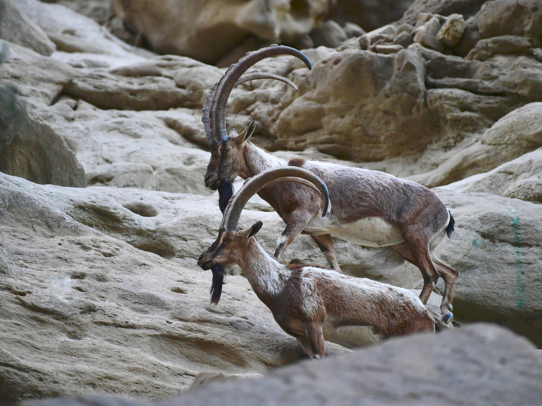 Kund Malir-Aghor必去景点