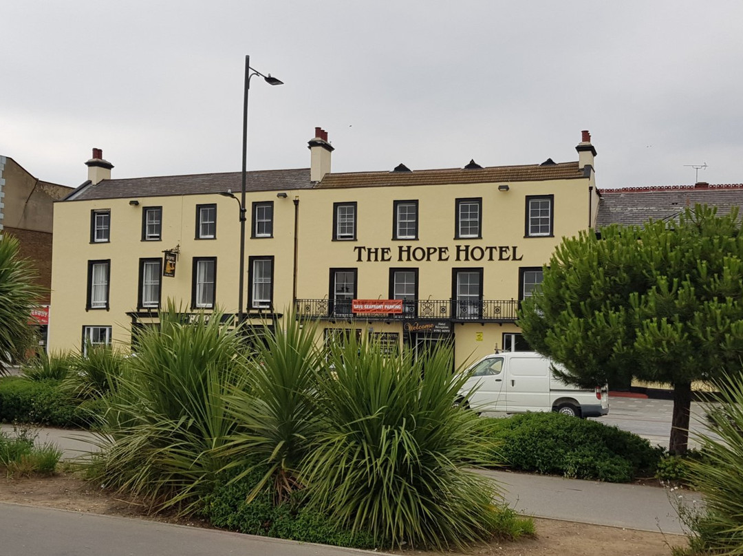 The Hope Hotel主图