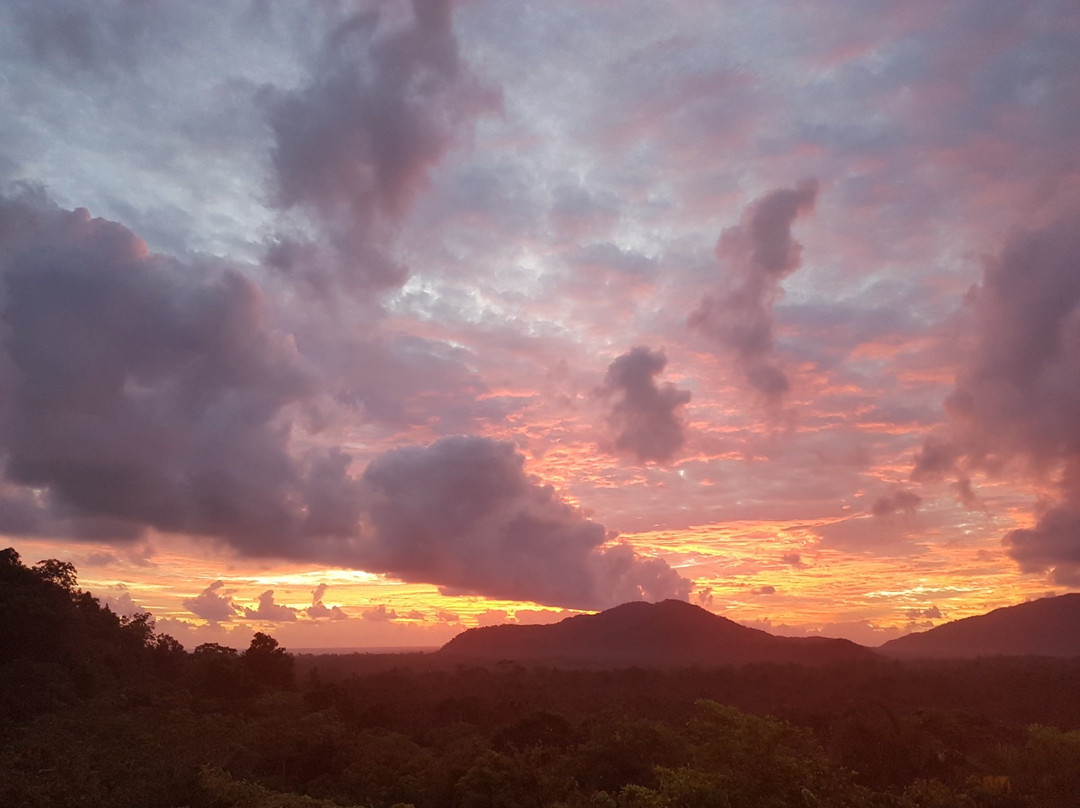 Cockatoo Hill Retreat主图