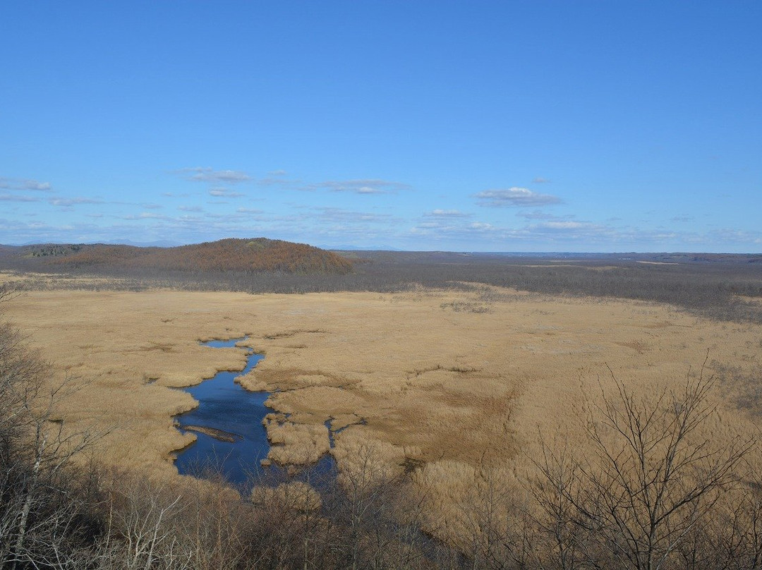 Kottaro Swamp Observatory-标茶町必去景点