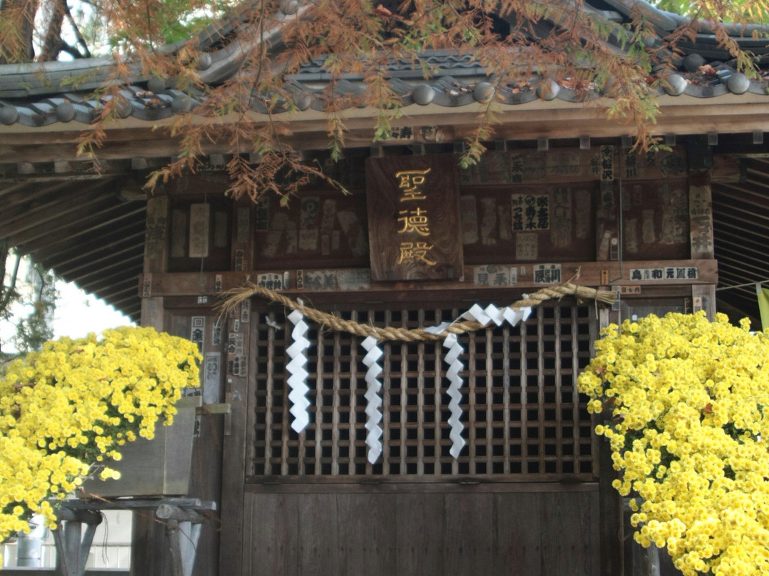 Kasama Chrysanthemum Festival-笠间市必去景点