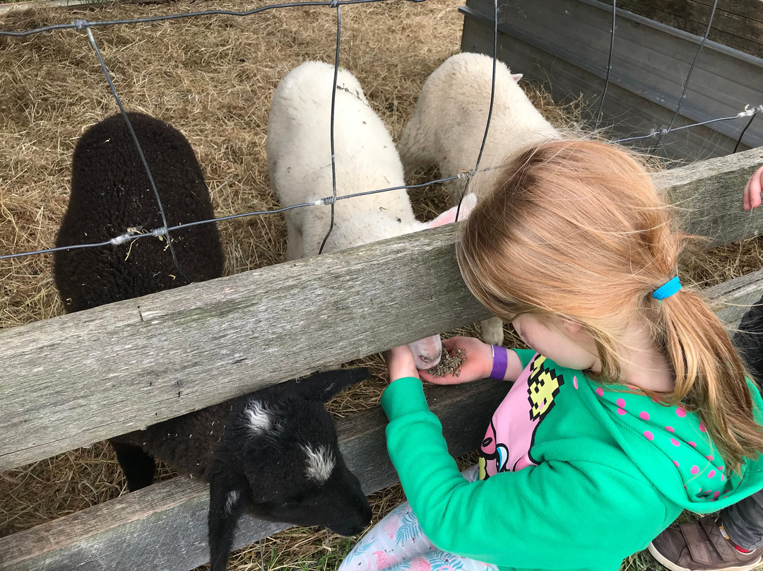 Prom Country Cheese-Moyarra必去景点