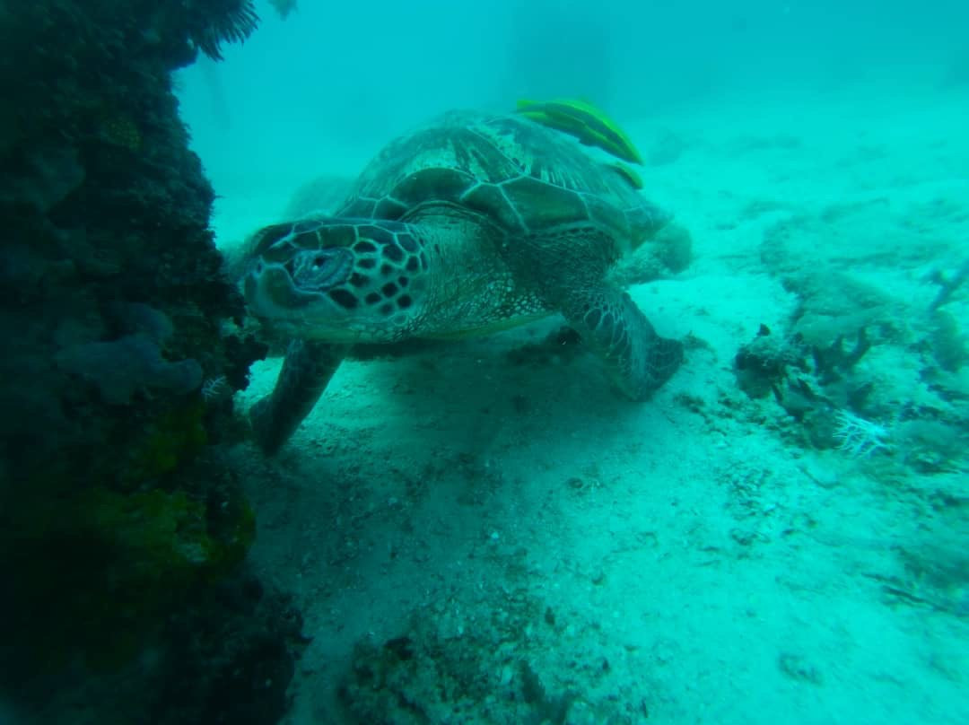 Scuba Do Zanzibar-Kendwa必去景点