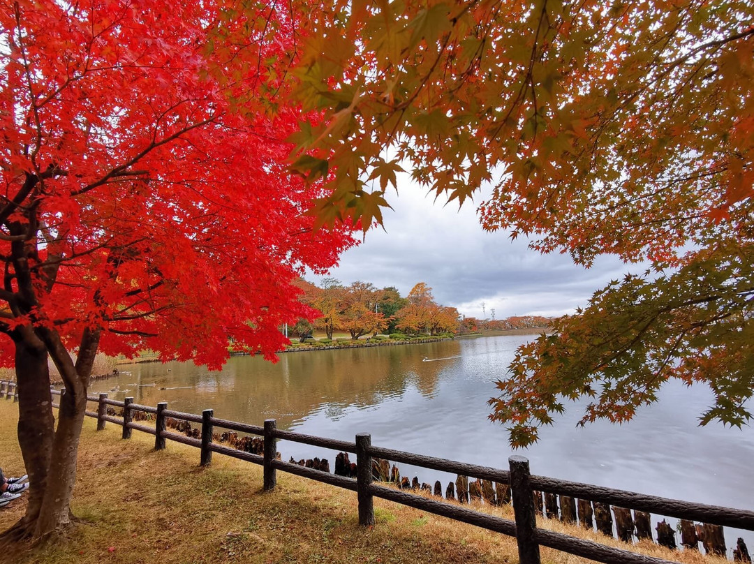 Takamatsu Park-盛冈市必去景点